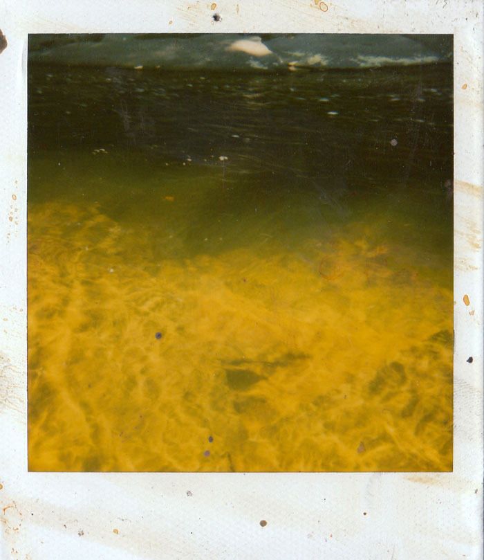 Polaroid 7/30