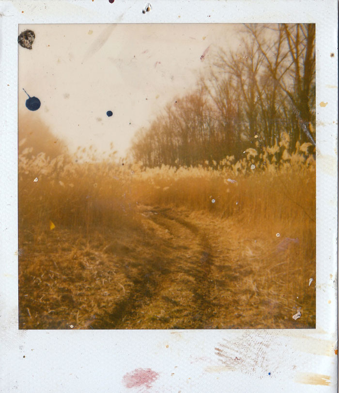 Polaroid 8/30