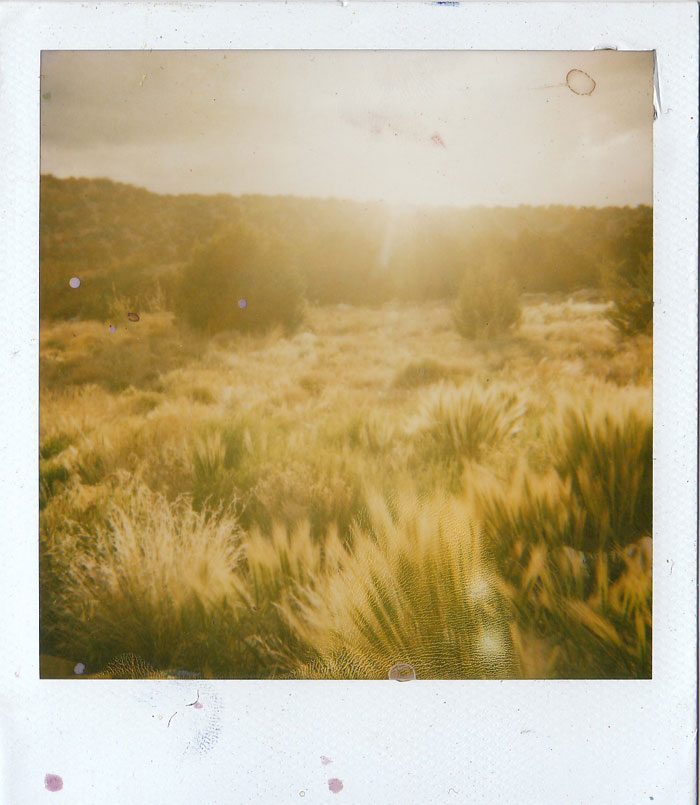 Polaroid 10/30