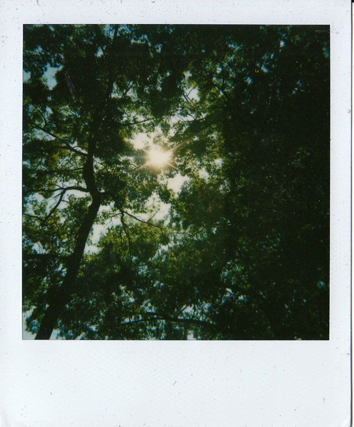 Polaroid 12/30