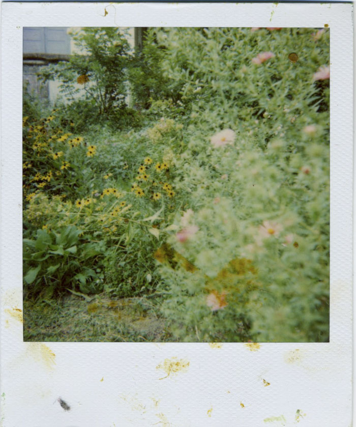 Polaroid 16/30