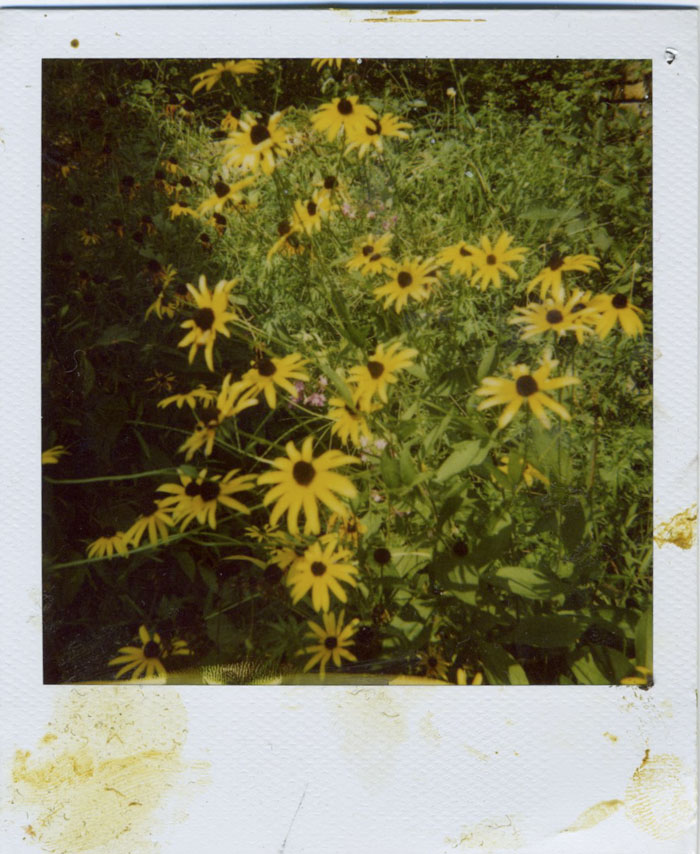 Polaroid 18/30