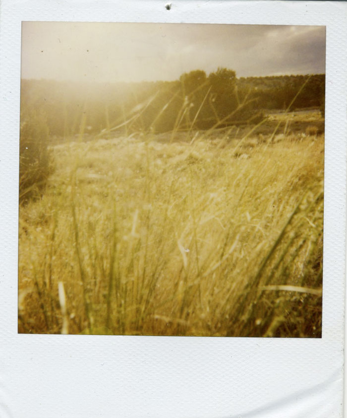 Polaroid 22/30